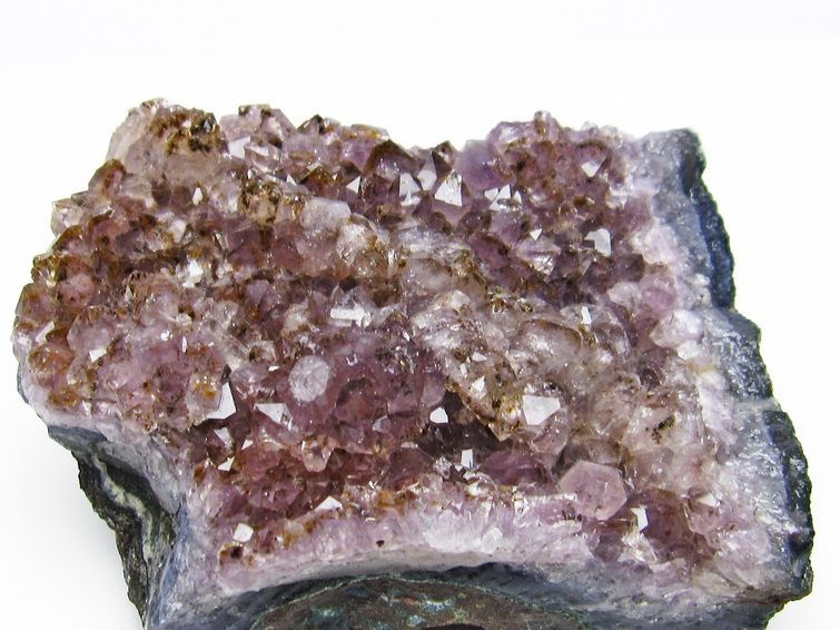 ᥸  Amethyst ᥸ 饹 581g  ֥饸뻺 ʪ եȥ 륯 ʪ 182-4061