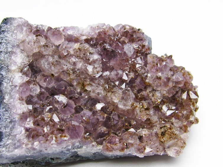 ᥸  Amethyst ᥸ 饹 581g  ֥饸뻺 ʪ եȥ 륯 ʪ 182-4061