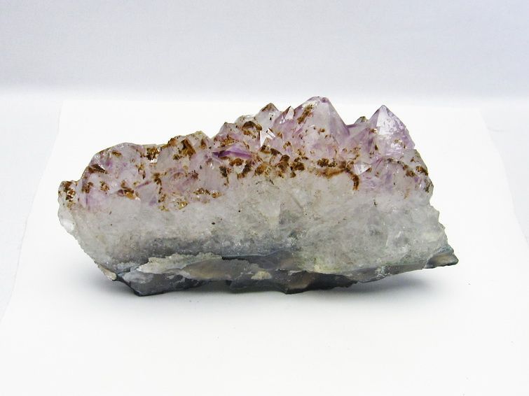 ᥸  Amethyst ᥸ 饹 818g  ֥饸뻺 ʪ եȥ 륯 ʪ 182-4069