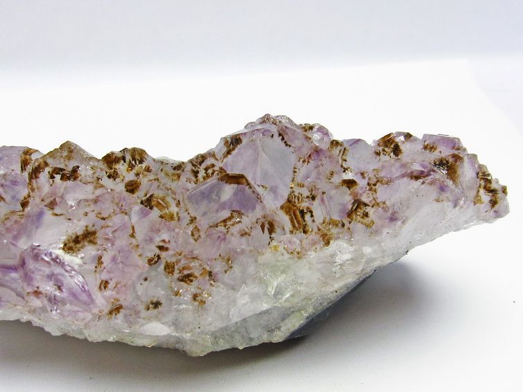 ᥸  Amethyst ᥸ 饹 818g  ֥饸뻺 ʪ եȥ 륯 ʪ 182-4069