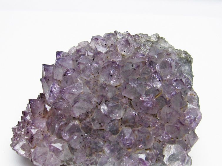 ᥸  Amethyst ᥸ 饹 490g  ֥饸뻺 ʪ եȥ ʪ 182-4087