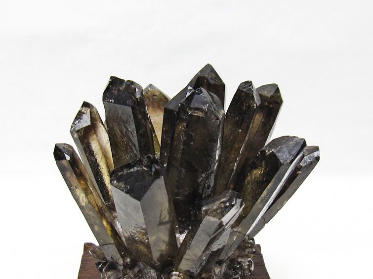 モリオン クラスター 黒水晶 原石 台座付属 一点物 送料無料 182-8689