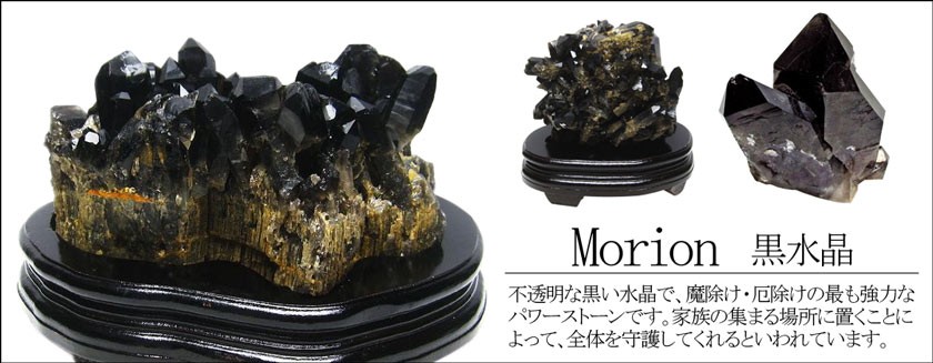 モリオン