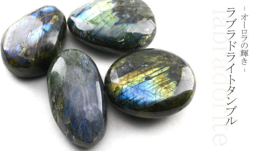 ֥ɥ饤 ֥  ʪ ᤭ A 1 ⳥Ĺ labradorite ȯ 771-14