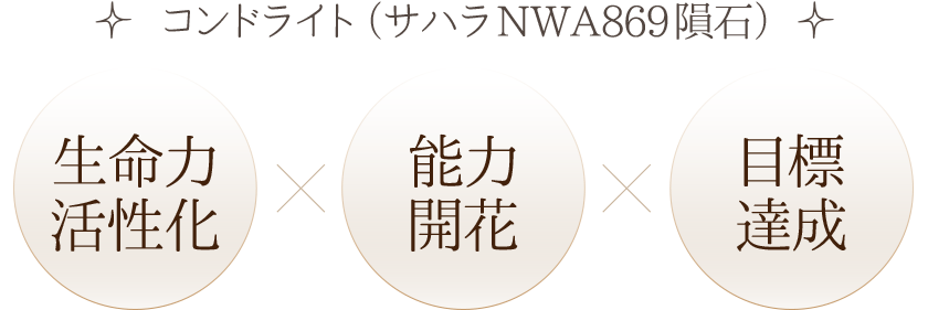 天然石・パワーストーンの東昇 - 宇宙からの贈り物_隕石コーナー
