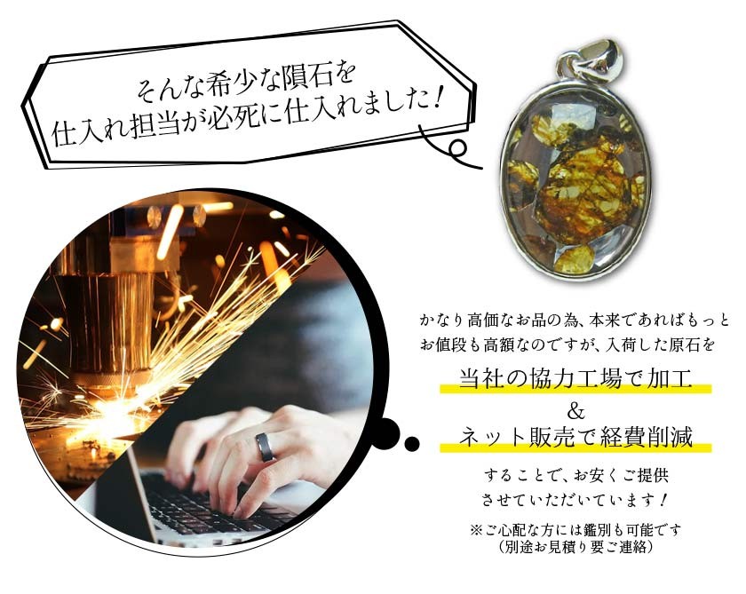 限定品【魔導具】『月の天眼と星辰の楔』～パラサイト隕石ペンダント～ ②限定品【魔導具】『月の天眼と星辰の楔』～パラサイト隕石