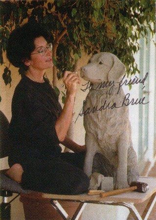 サンディキャストOS380/ラブラドールレトリバー/ブラック（Mサイズ）の