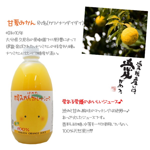 みかんジュース6本・甘夏みかんジュース6本セット 500ml瓶×12本入 伯方