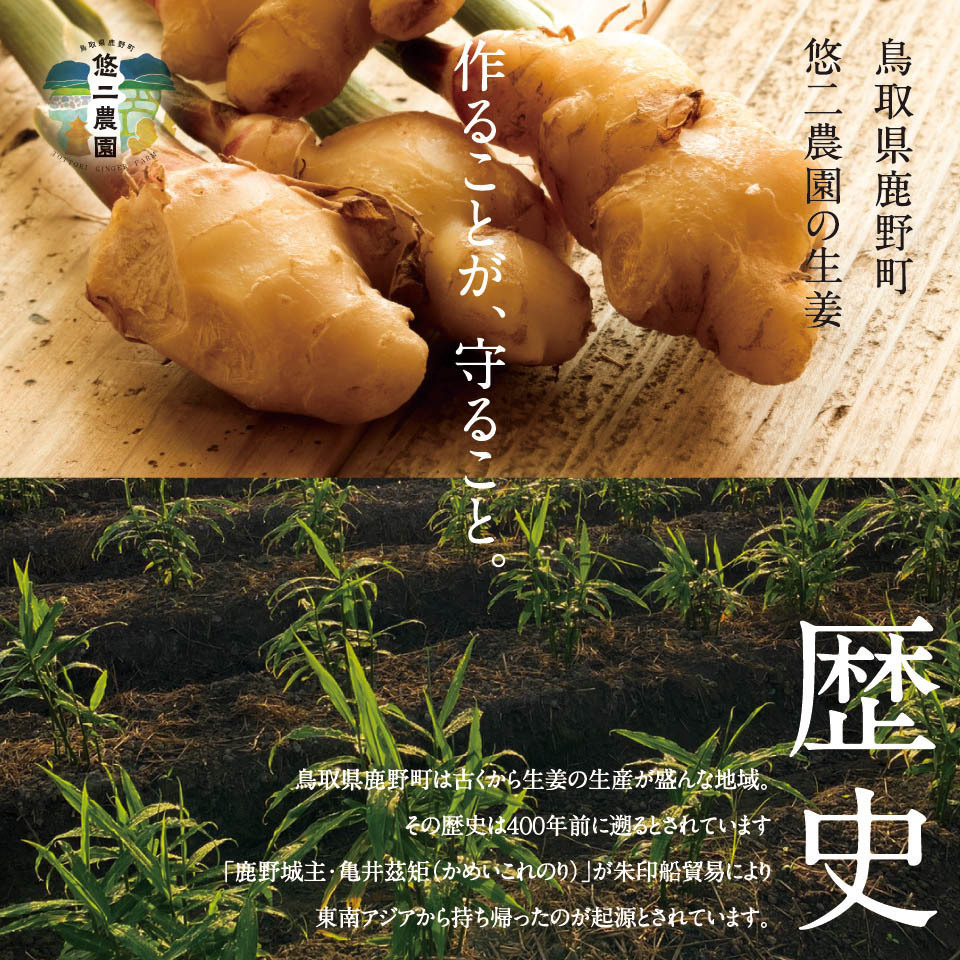 悠二農園の新生姜 新生姜 1kg 鳥取県産 送料無料 国産 鳥取 悠二農園 2022年 秋収穫 生姜 しょうが :syouga04:鳥取生姜専門店  悠二農園 - 通販 - Yahoo!ショッピング