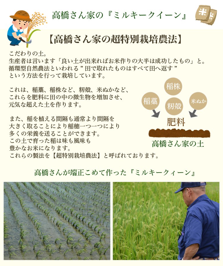 ミルキークイーン 新米 令和6年 自然栽培米 無農薬 米5kg お歳暮