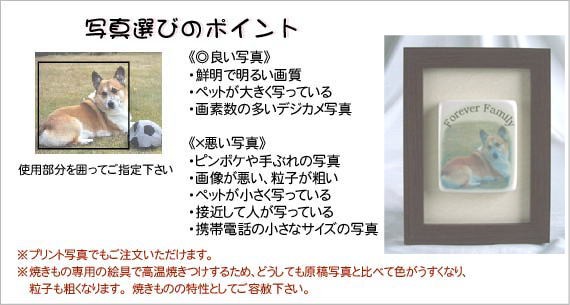 写真注意点