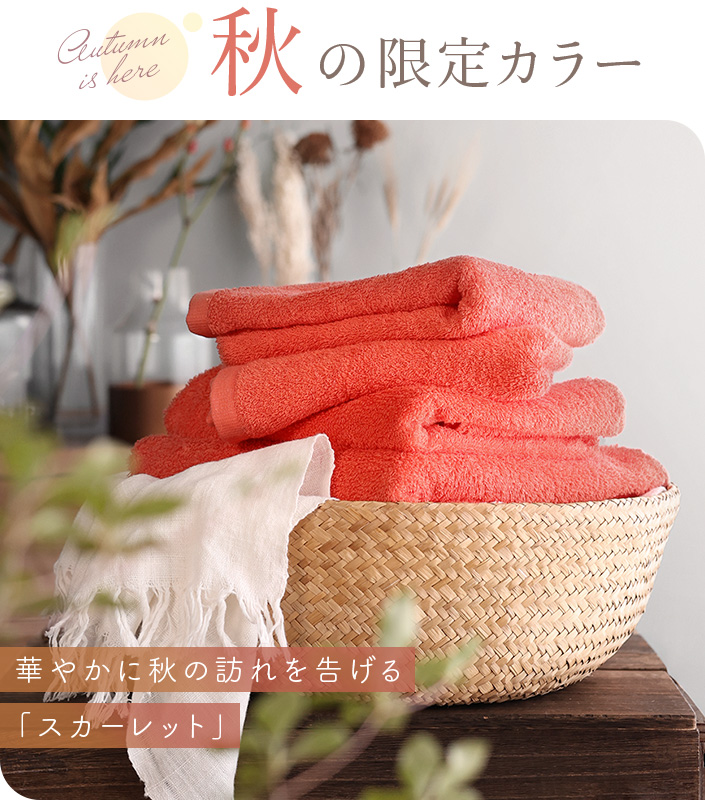 季節限定カラー
