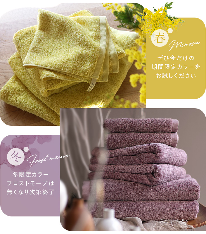 季節限定カラー