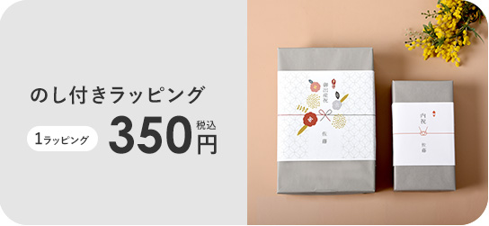 空気清浄機 コンパクト 6畳 タッチパネル ELAiCE エレス 360°空気清浄