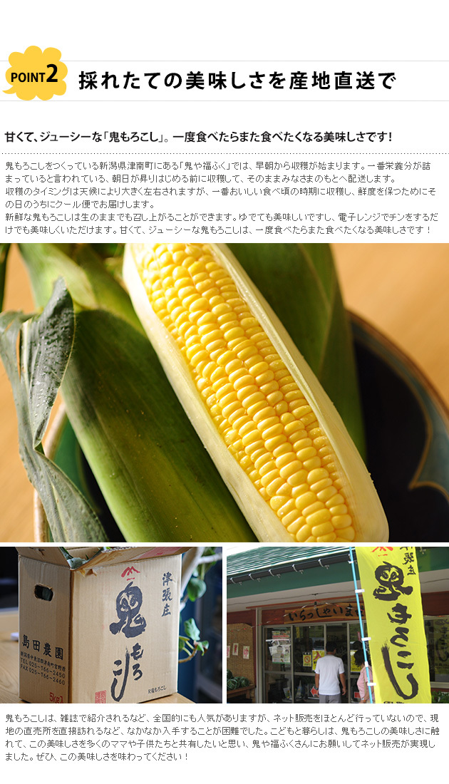 ひろ様専用】鬼あまい ホワイトコーン 新潟津南産 - 野菜