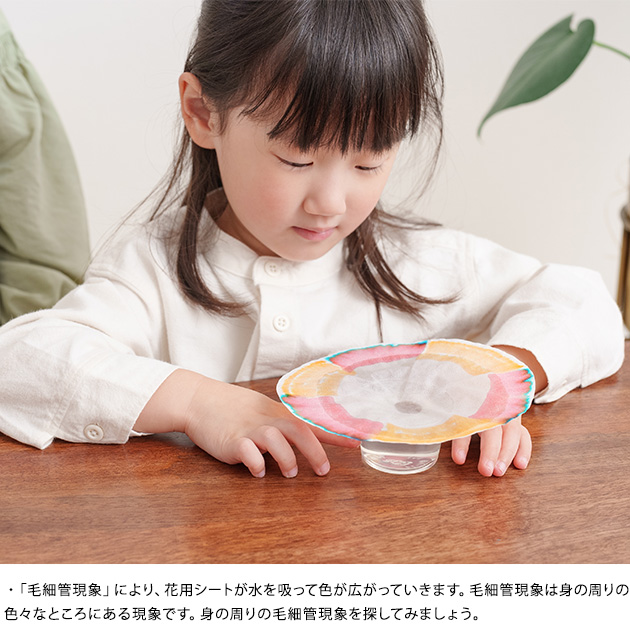 渡辺教具製作所 STEAM教具 グラデーションフラワー 工作キット 小学生 低学年 子供 知育玩具 男の子 女の子 母の日 敬老の日 かわいい 