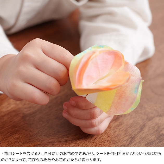 渡辺教具製作所 STEAM教具 グラデーションフラワー 工作キット 小学生 低学年 子供 知育玩具 男の子 女の子 母の日 敬老の日 かわいい 