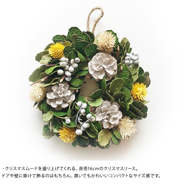 maison blanche メゾンブランシュ クリスマスリース S  クリスマス リース ナチュラル 飾り 天然素材 壁飾り オーナメント おしゃれ かわいい ギフト プレゼント  