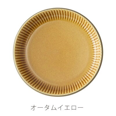 食器 おしゃれ お皿 中皿 サザンバレー 17.5cmプレート 直径17.5cm 丸