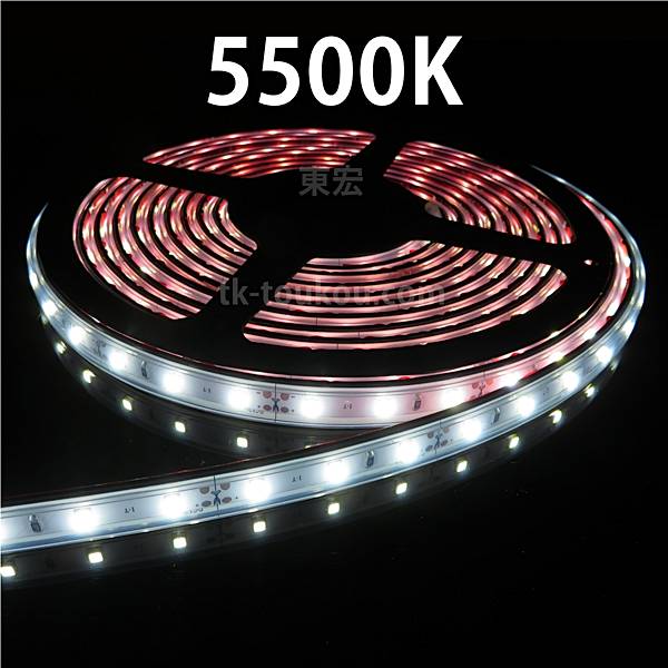 LEDテープライト シリコンチューブ TK-24-SS286シリーズ 60粒/m 単色 全6色 IP67 9m DC24V 屋外使用可能 電源付 ジャック外径5.5mm×内径2.1mmの画像