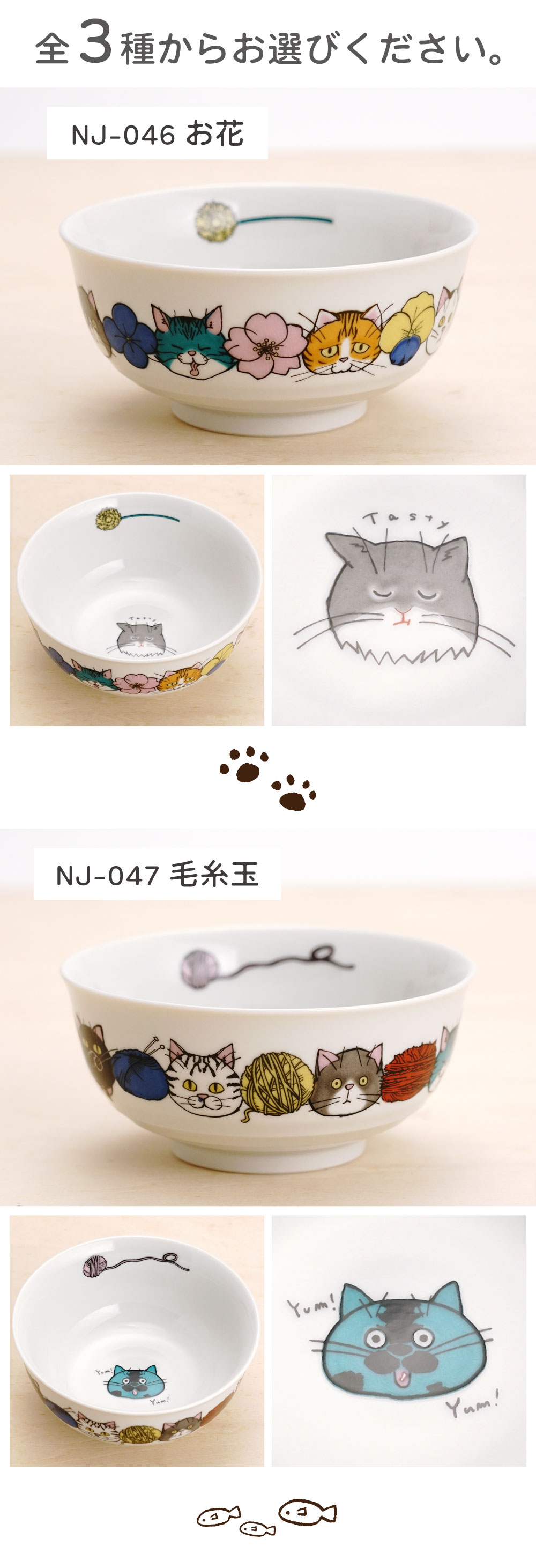 九谷焼 ネコ・ジェラシー 中鉢 / KUTANI SEAL ＜専用パッケージ 13.5cm