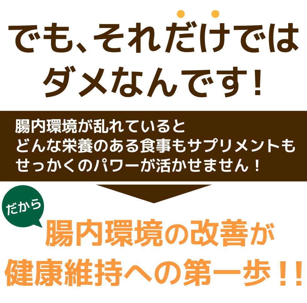 コッカス菌乳酸菌加工食品 コッカス プレンティーワン : トルマリン
