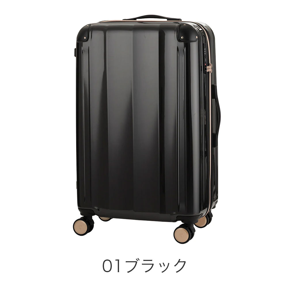 カラーバリエーション2