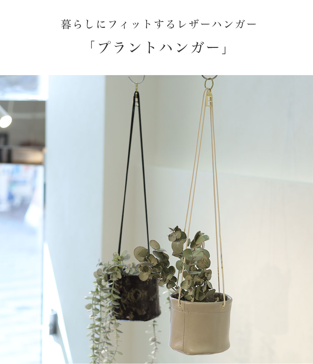 つかみのコピー&メイン写真