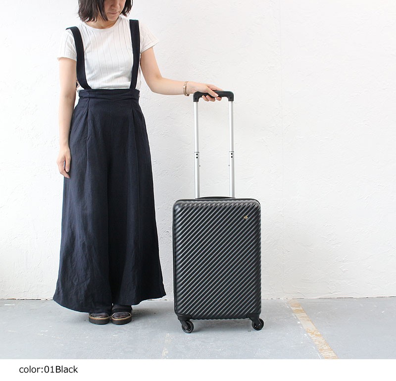 HaNT ハント スーツケース ハントマイン エース ACE 2〜3泊 48cm