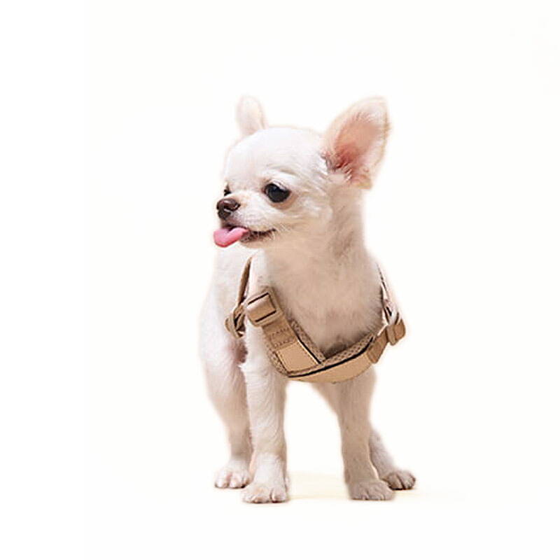 ミリオン ハーネス 小型犬 X型 5Dエアメッシュクッション XSサイズ MONDEハーネスXS 超小型犬 胸囲27〜34cm サイズ調整 ドッグ MILLIONG