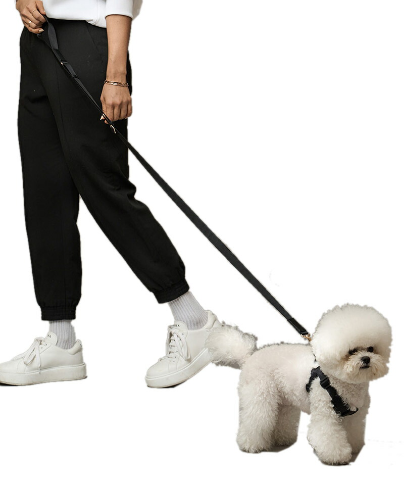 希少 ティファニー 犬用リード 200cm ロング 日本未発売 ハンズフリー箱付 MILLIONG（ミリオン） リード 犬 猫 ロングリード 165〜200cm 小型犬