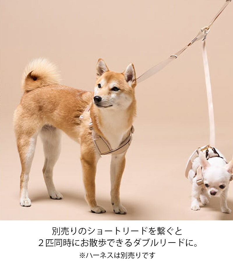 柴犬 クリアランス ロング リード おすすめ