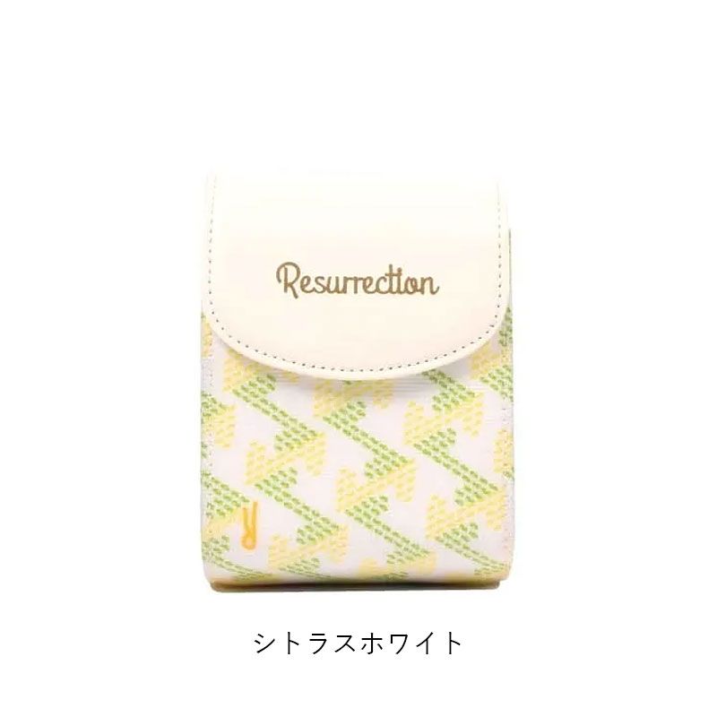 RESURRECTION レザレクション parus 距離計ケース