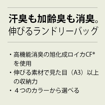 https://shopping.c.yimg.jp/lib/towa-direct/catch_lund.jpgの特徴