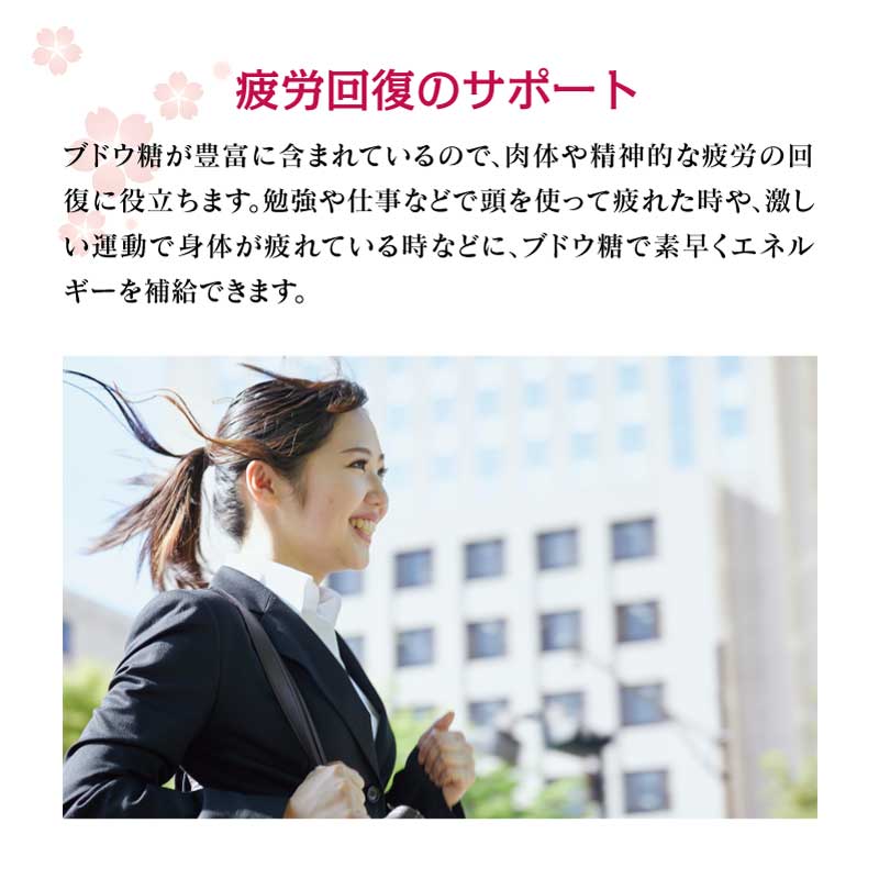 食べる甘酒スティック 乳酸菌入り