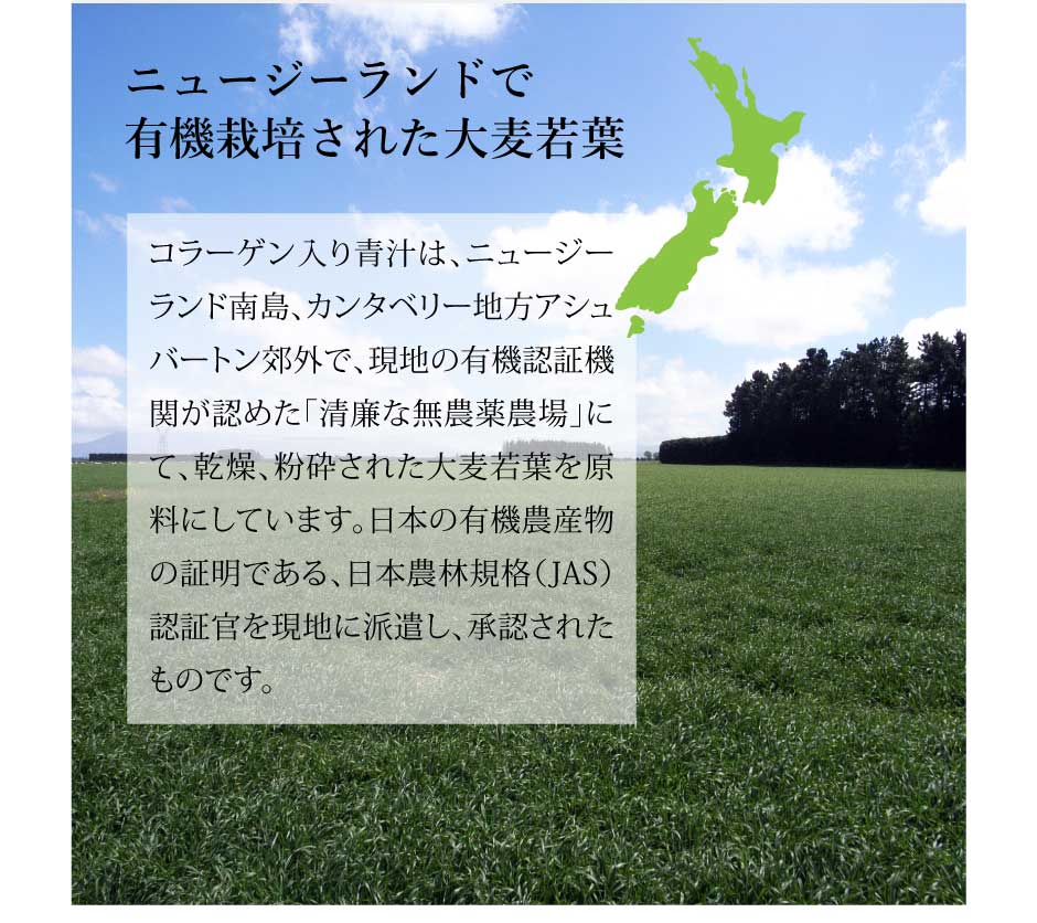 コラーゲン入り青汁　東和バイオ