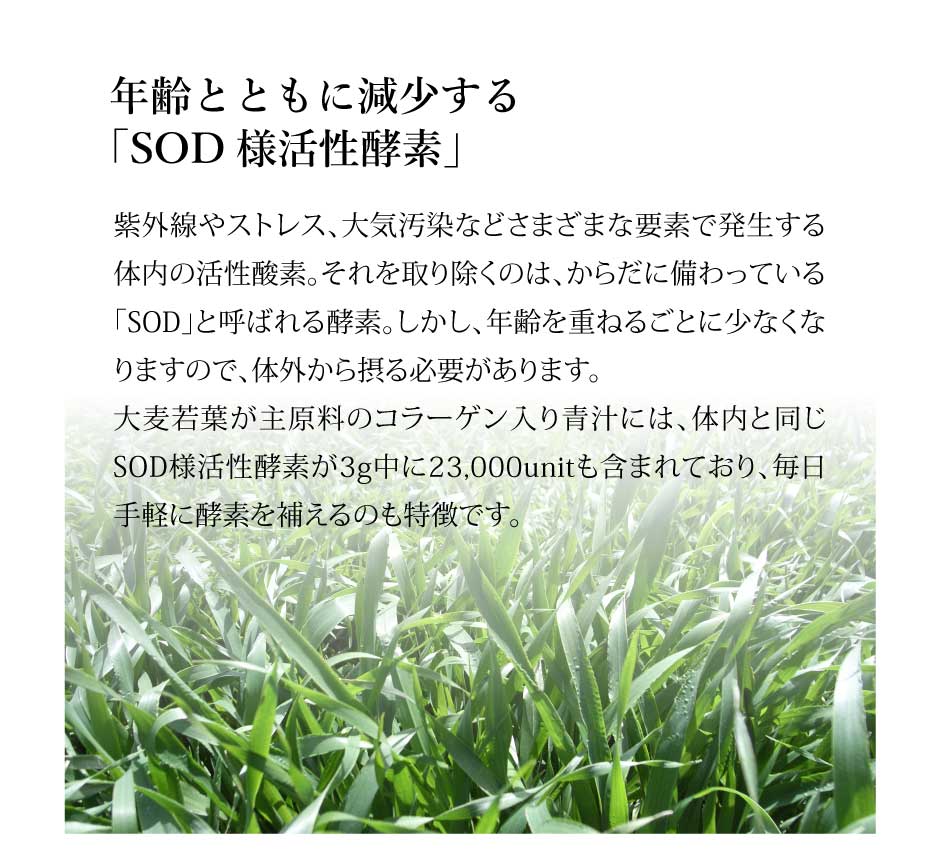 コラーゲン入り青汁　東和バイオ