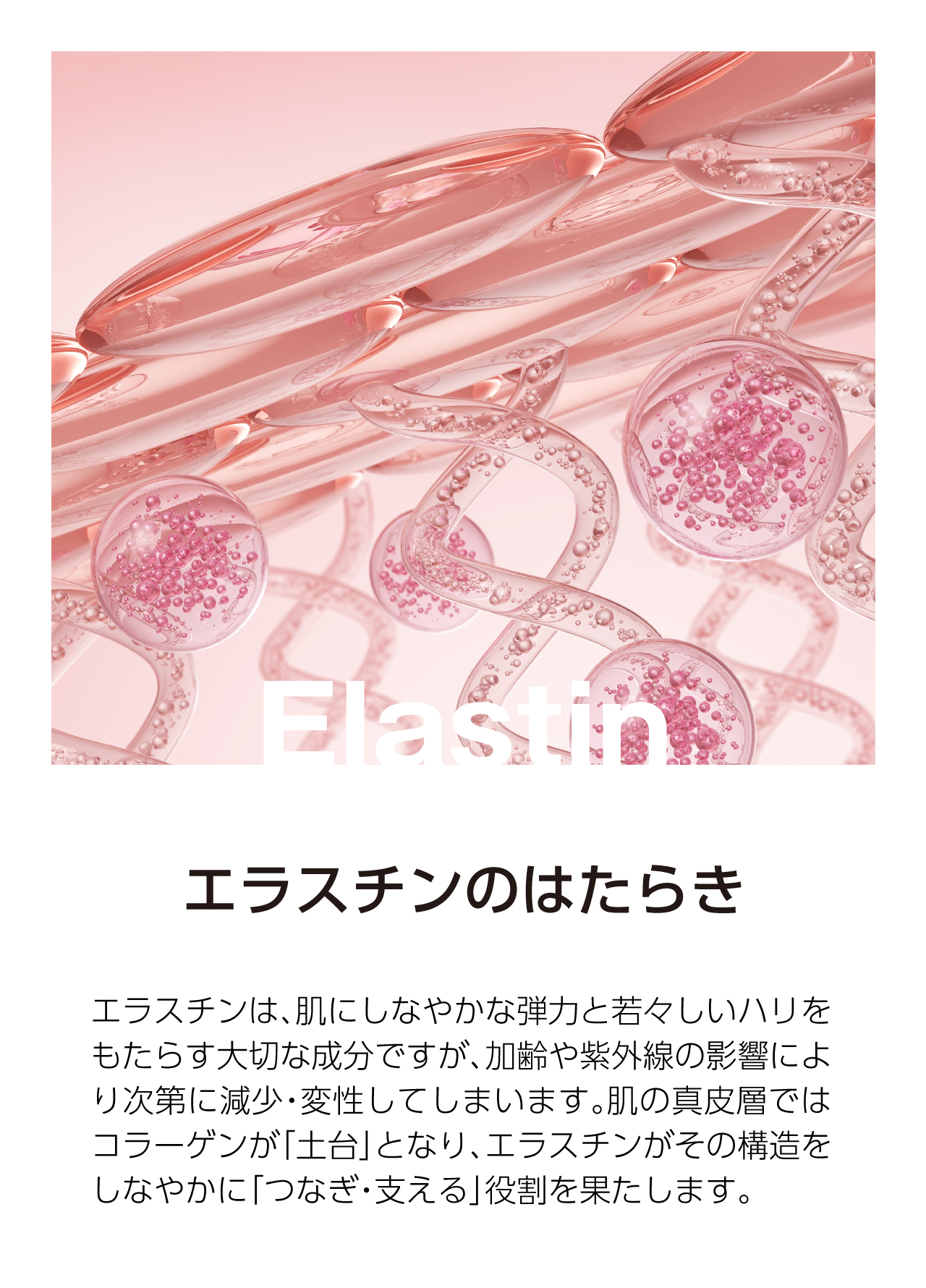 Fucoillagen フコイラゲン