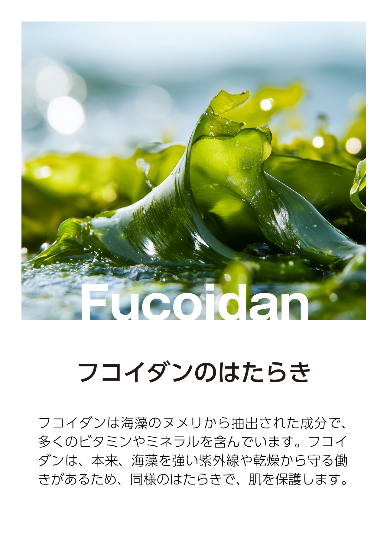 Fucoillagen フコイラゲン