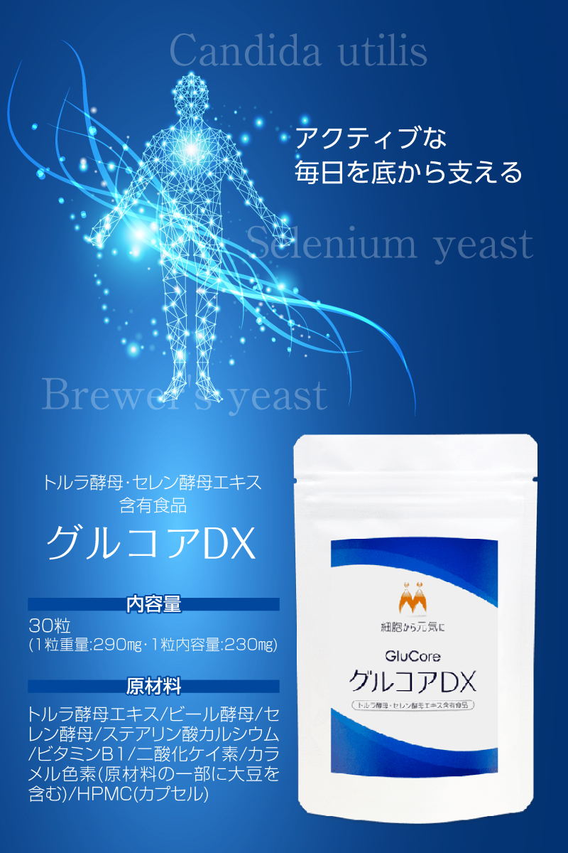 グルコアDX（30粒）トルラ酵母・セレン酵母エキス含有食品｜高齢人参