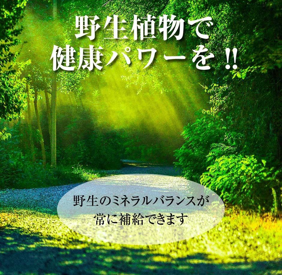 ハイパワーマグマン50g BIE野生植物ミネラルマグマン｜超濃縮液｜水溶性ミネラル｜植物性ミネラル :h-magman-50:東和バイオ - 通販 -  Yahoo!ショッピング