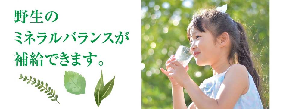 ハイパワーマグマン50g BIE野生植物ミネラルマグマン｜超濃縮液｜水溶