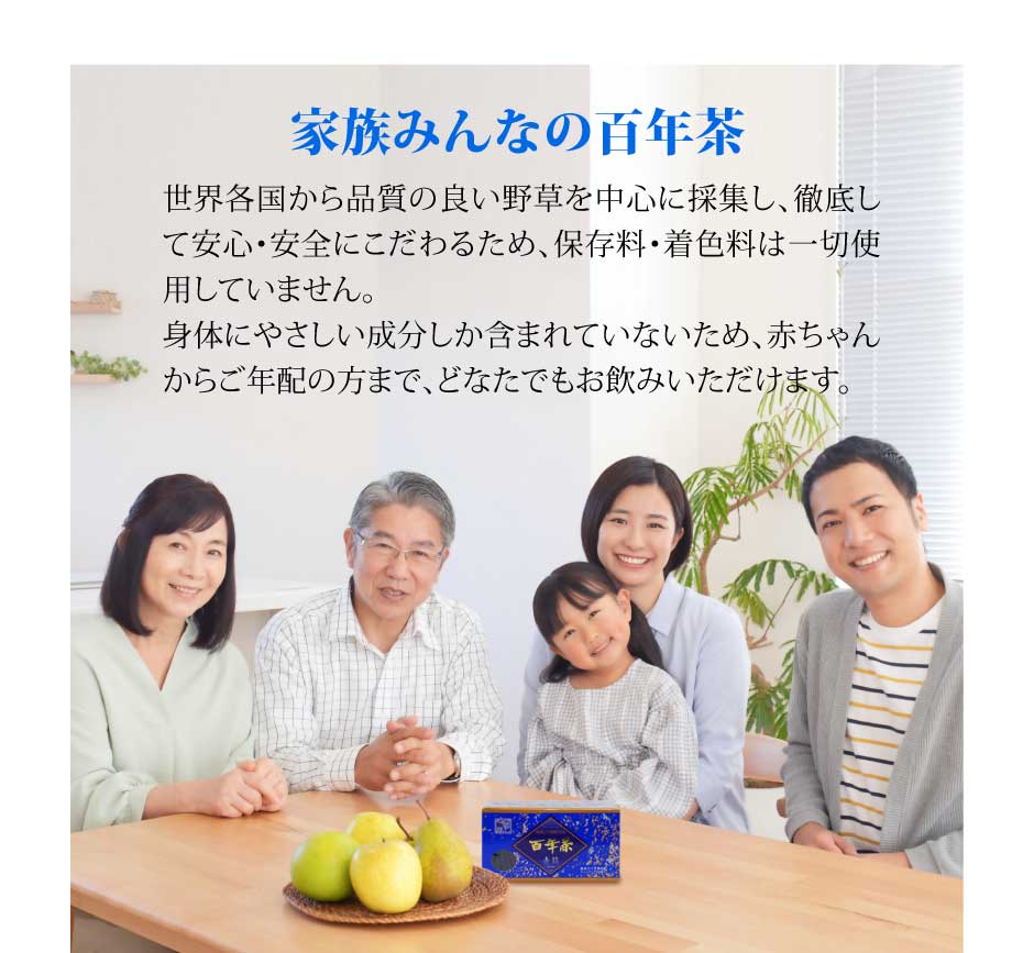 百年茶 青箱 （7.5g×30袋）×2箱セット｜ティーバッグ｜煮出し用