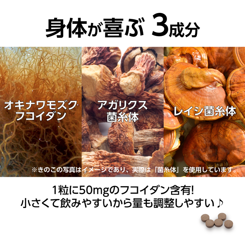 金秀バイオ フコイダン粒 （250粒 ×3個） ナノフコイダン レイシ菌糸体 配合 栄養補助食品 オキナワモズク由来フコイダン fucoidan 国産  日本製 : kanehide-fuco-tsubu250-3 : 東和バイオ - 通販 - Yahoo!ショッピング