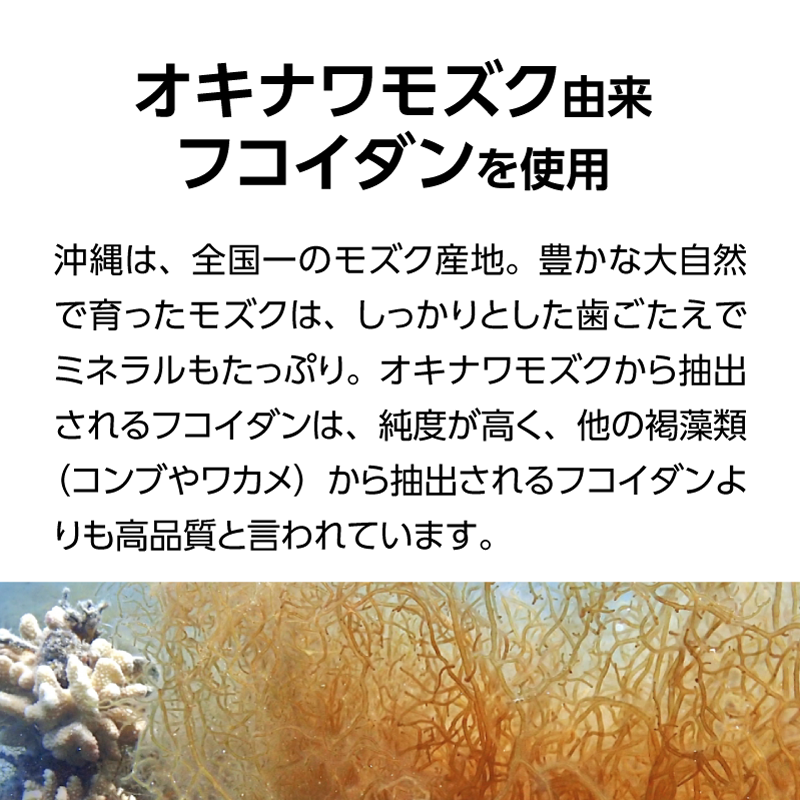 金秀バイオ フコイダン粒