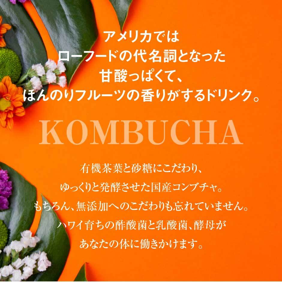 ferment works KOMBUCHA classic 720ml×1本 【国産無添加クラフト