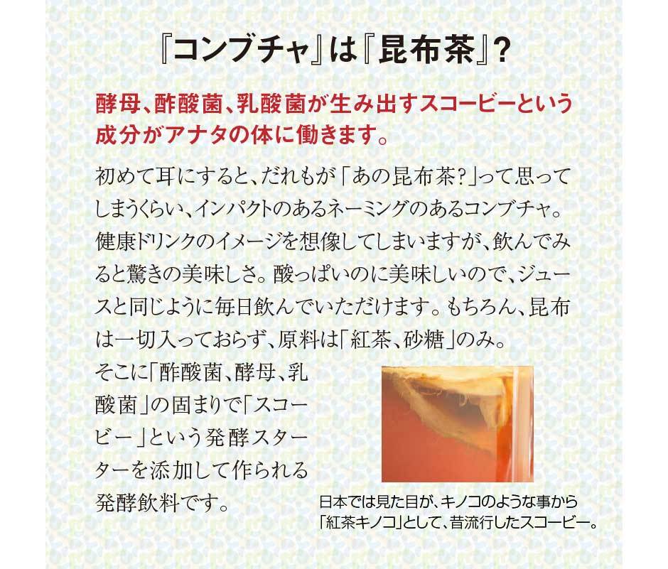 ferment works KOMBUCHA classic 720ml×1本 【国産無添加クラフト