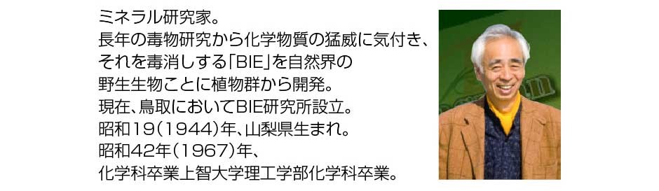 マグマンE100g（約330粒）BIE野生植物ミネラルマグマン｜タブレット（錠剤）タイプ｜栄養補助食品 :magman-e:東和バイオ - 通販 -  Yahoo!ショッピング