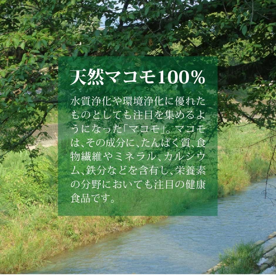 マコモレジェンドプラス 150g｜リバーブ｜マコモ有用微生物群をプラスして蘇生【天然真菰100%】【マコモ粉末】【マコモ菌】