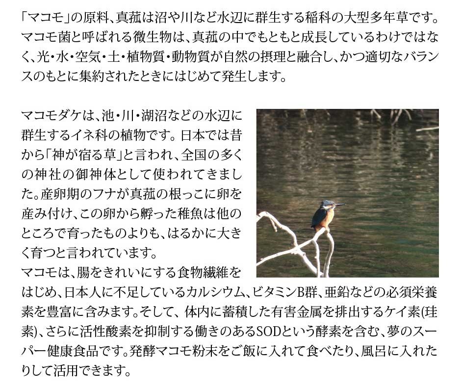 マコモレジェンドプラス 150g｜リバーブ｜マコモ有用微生物群をプラスして蘇生【天然真菰100%】【マコモ粉末】【マコモ菌】